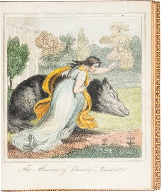 Beauty and the Beast