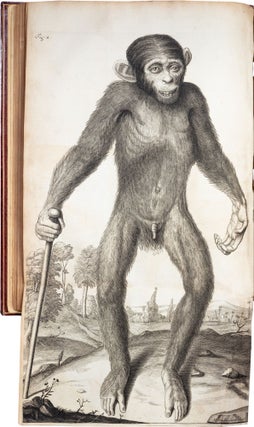 Item #343 Orang–Outang, sive Homo Sylvestris; or, The Anatomy of a Pygmie. Edward Tyson