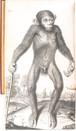 Item #343 Orang–Outang, sive Homo Sylvestris; or, The Anatomy of a Pygmie. Edward Tyson