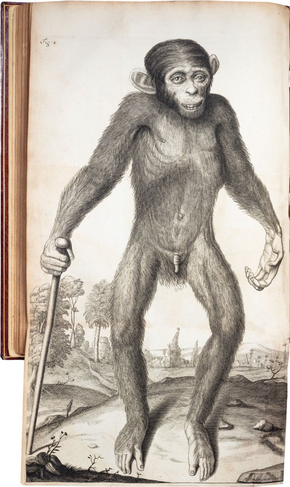 Item #343 Orang–Outang, sive Homo Sylvestris; or, The Anatomy of a Pygmie. Edward Tyson.