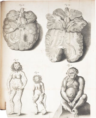 Orang–Outang, sive Homo Sylvestris; or, The Anatomy of a Pygmie