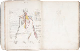 A Description of the Muscles of the Human Body as They Appear on Dissection[…]