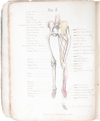 A Description of the Muscles of the Human Body as They Appear on Dissection[…]