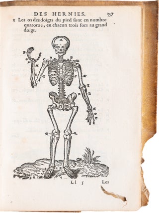 Traité des Hernies
